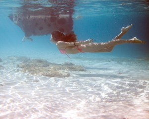 Swimming-Pigs-Bahamas-15